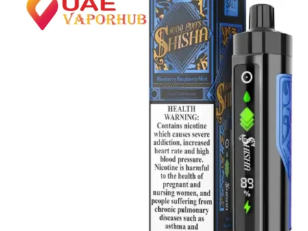 Pod Salt Shisha 8000 Puffs 3mg Disposable Vape Raspberry Mint