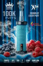 Sultan Xtra Shisha 100,000 Puffs 2mg Disposable Vape Blueberry Raspberry