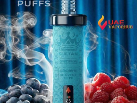 Sultan Xtra Shisha 100,000 Puffs 2mg Disposable Vape Blueberry Raspberry