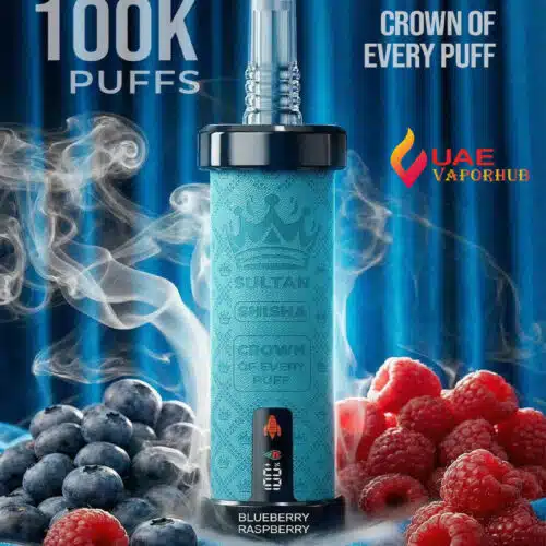 Sultan Xtra Shisha 100,000 Puffs 2mg Disposable Vape Blueberry Raspberry