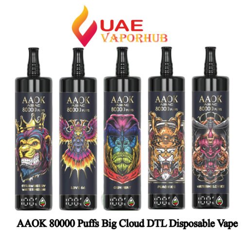 AAOK 80000 Puffs Big Cloud DTL Disposable Vape at UAE Vapor Hub