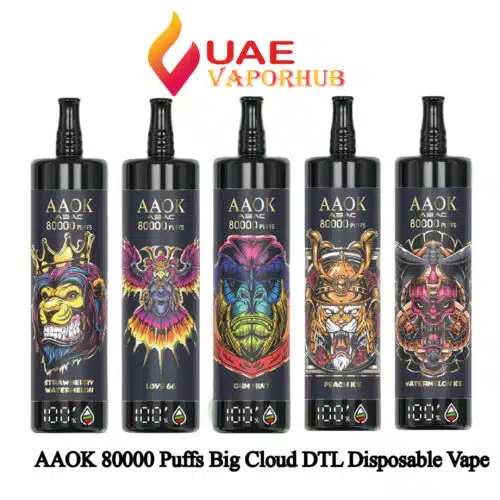 AAOK 80000 Puffs Big Cloud DTL Disposable Vape at UAE Vapor Hub