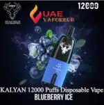 Kalyan Pro 12000 Puffs 50mg Disposable Vape Blueberry ice in UAE