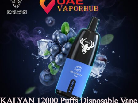Kalyan Pro 12000 Puffs 50mg Disposable Vape Blueberry ice in UAE