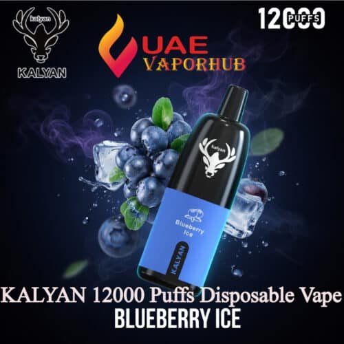 Kalyan Pro 12000 Puffs 50mg Disposable Vape Blueberry ice in UAE