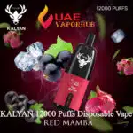 Kalyan Pro 12000 Puffs 50mg Disposable Vape Red Mamba at Best Price