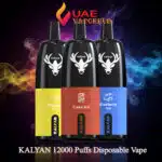 Kalyan Pro 12000 Puffs 50mg Disposable Vape at UAE Vapor Hub