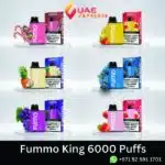 Fummo King 6000 Puffs Disposable Vape in Dubai