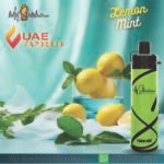 My Shisha XL 16500 Puffs DTL Disposable Vape Lemon mint Flavor