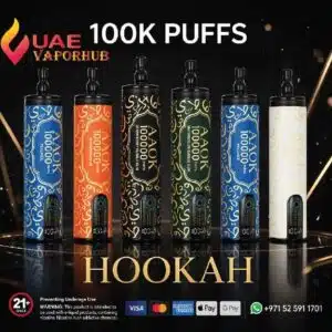 AAOK Hookah 100K Puffs DTL Disposable Vape at UAE Vapor Hub.