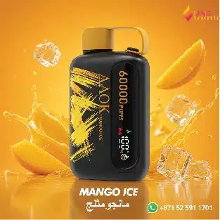 AAOK 60K Puffs Disposable Vape